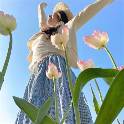 风骚律师第五季