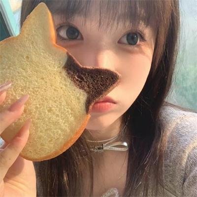 第一夫人的保镖